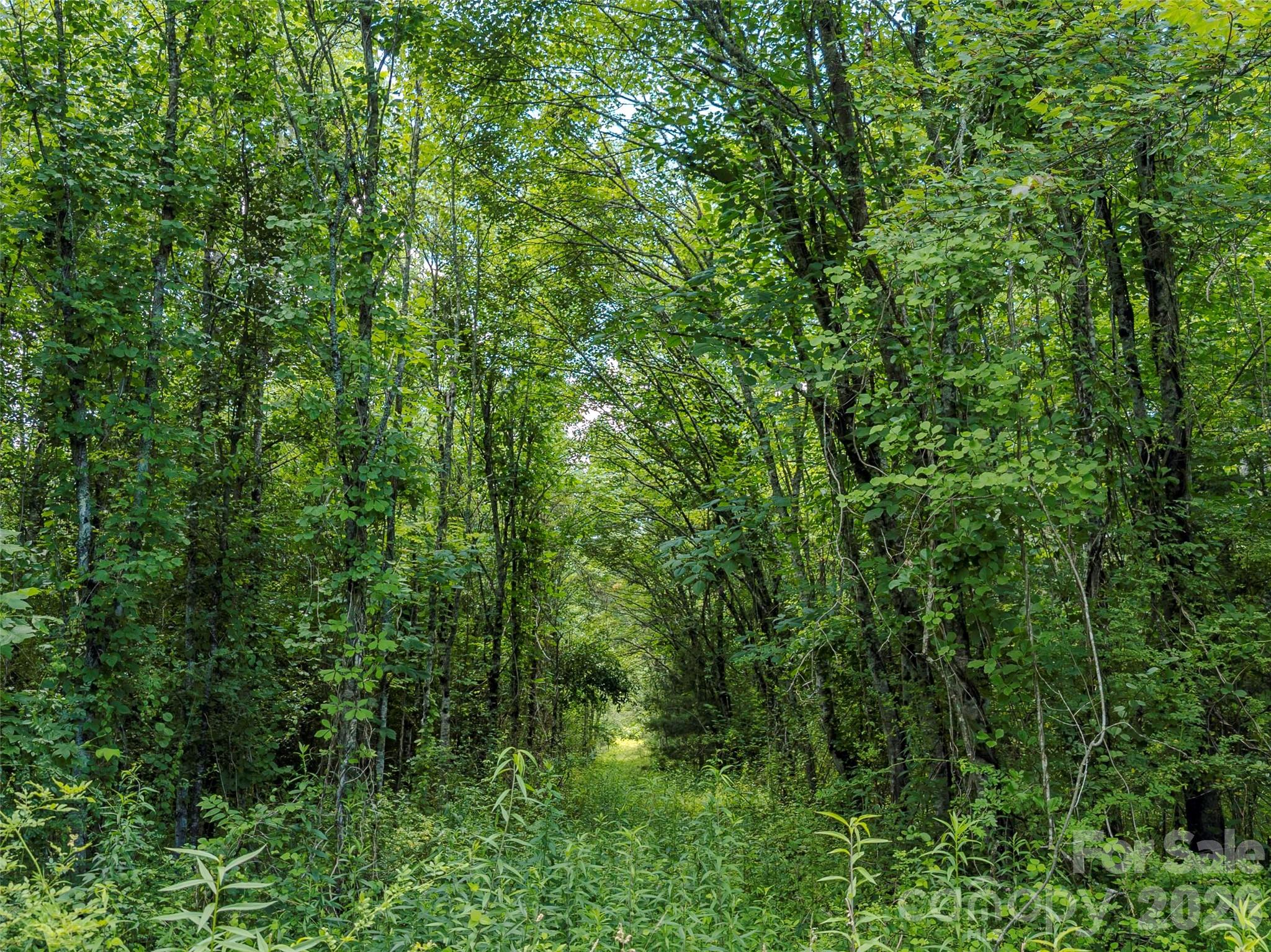 TBD Canebrake Road
