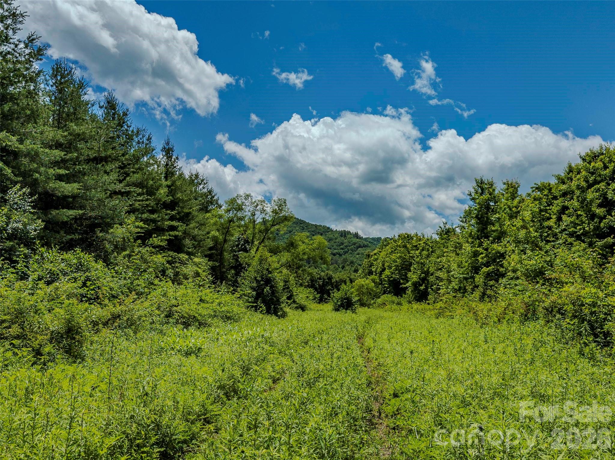 TBD Canebrake Road