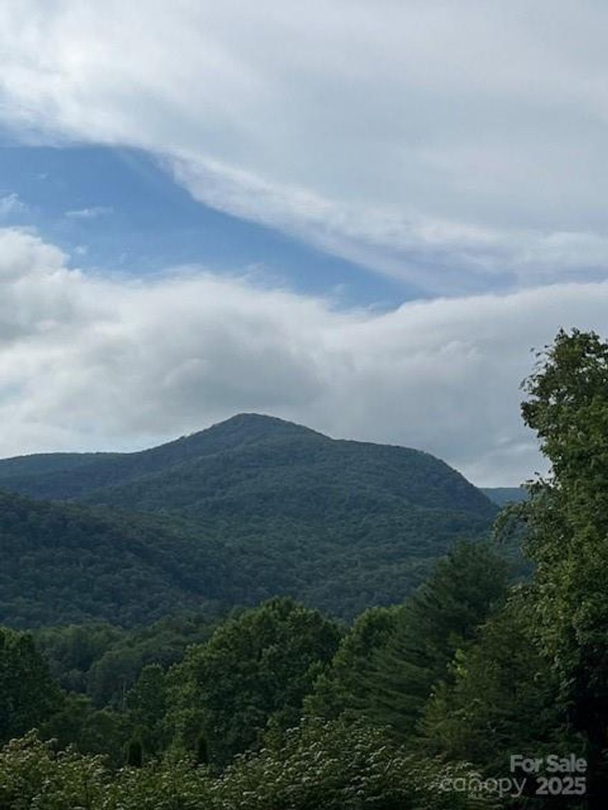 NEW PRICE!!! BRAND NEW KITCHEN APPLIANCES!!!! Located in the Old Cove section of the North Fork Valley in Black Mountain. One family ownership since 1987. The lovely .76 acre rural setting features 3 reflection ponds, wooded privacy with fencing. This Valley location has the feel of a retreat, yet Black Mountain shopping, restaurants, golf course, pool and tennis are within a 5-10 minute commute. Plants love the sunny multipurpose room and it could be your office or guest bedroom. The woodstove in the living room can heat the entire main floor. Enjoy the screened side porch as a pleasant place to relax.  Downstairs is a den, bathroom, a workshop area with plenty of storage plus a double car garage. In the front yard you will find a hand pumped well that can be used as an extra water source for the raised beds. The shed is a useful addition for firewood and gardening tools.  Make this haven your getaway or AN INCOME PRODUCING SHORT TERM RENTAL!