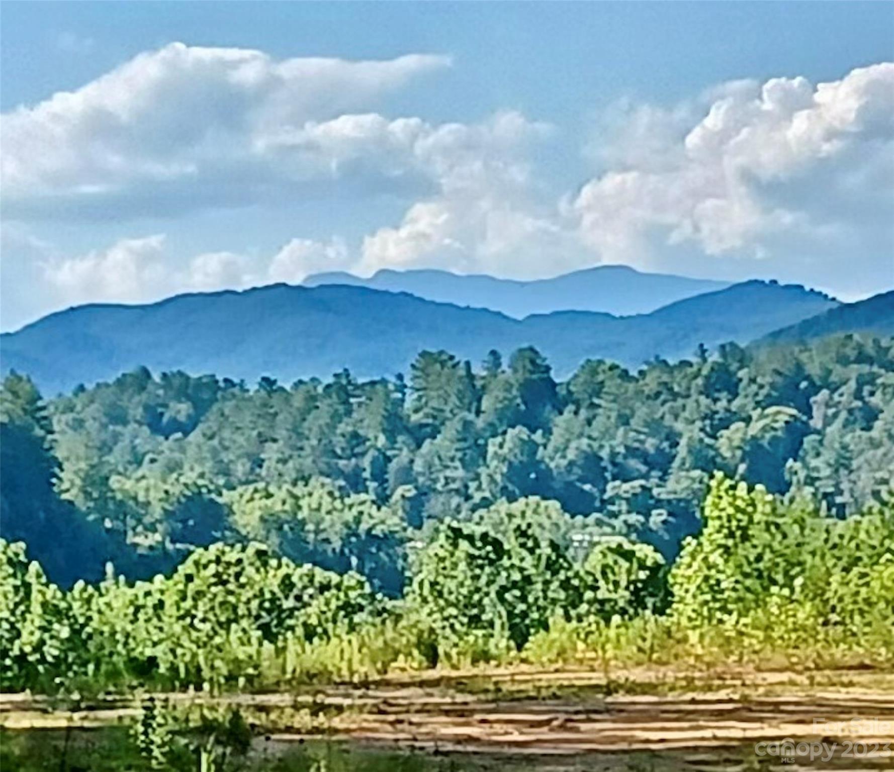 The Coves Mountain River Club - Land