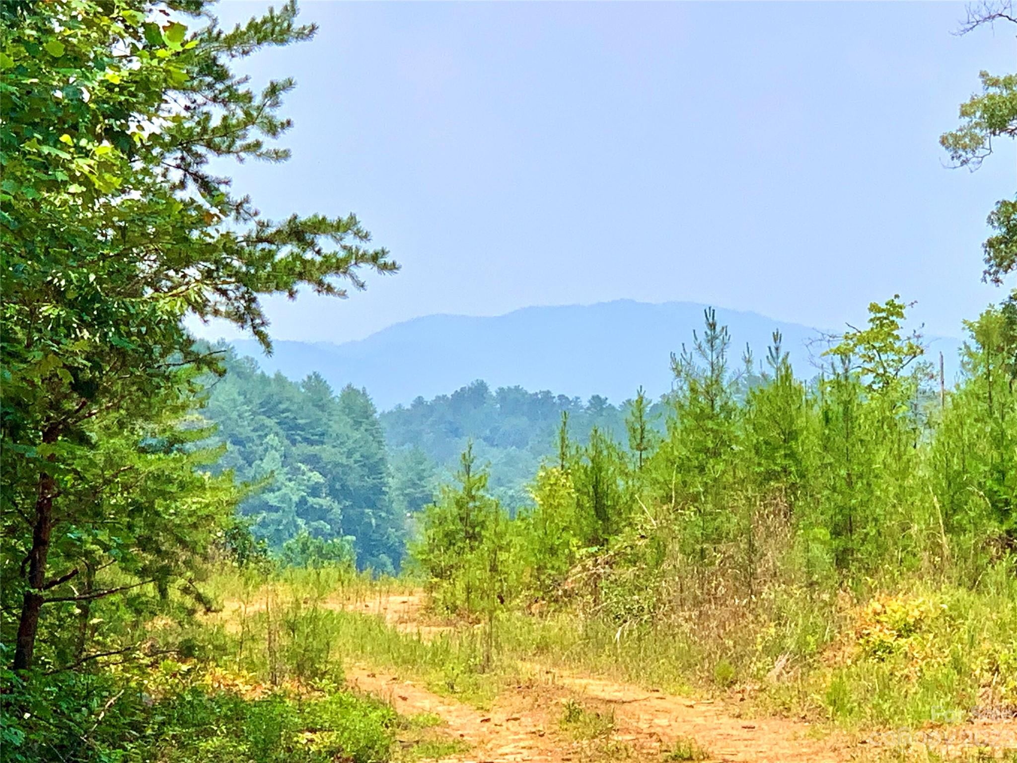 The Coves Mountain River Club - Land