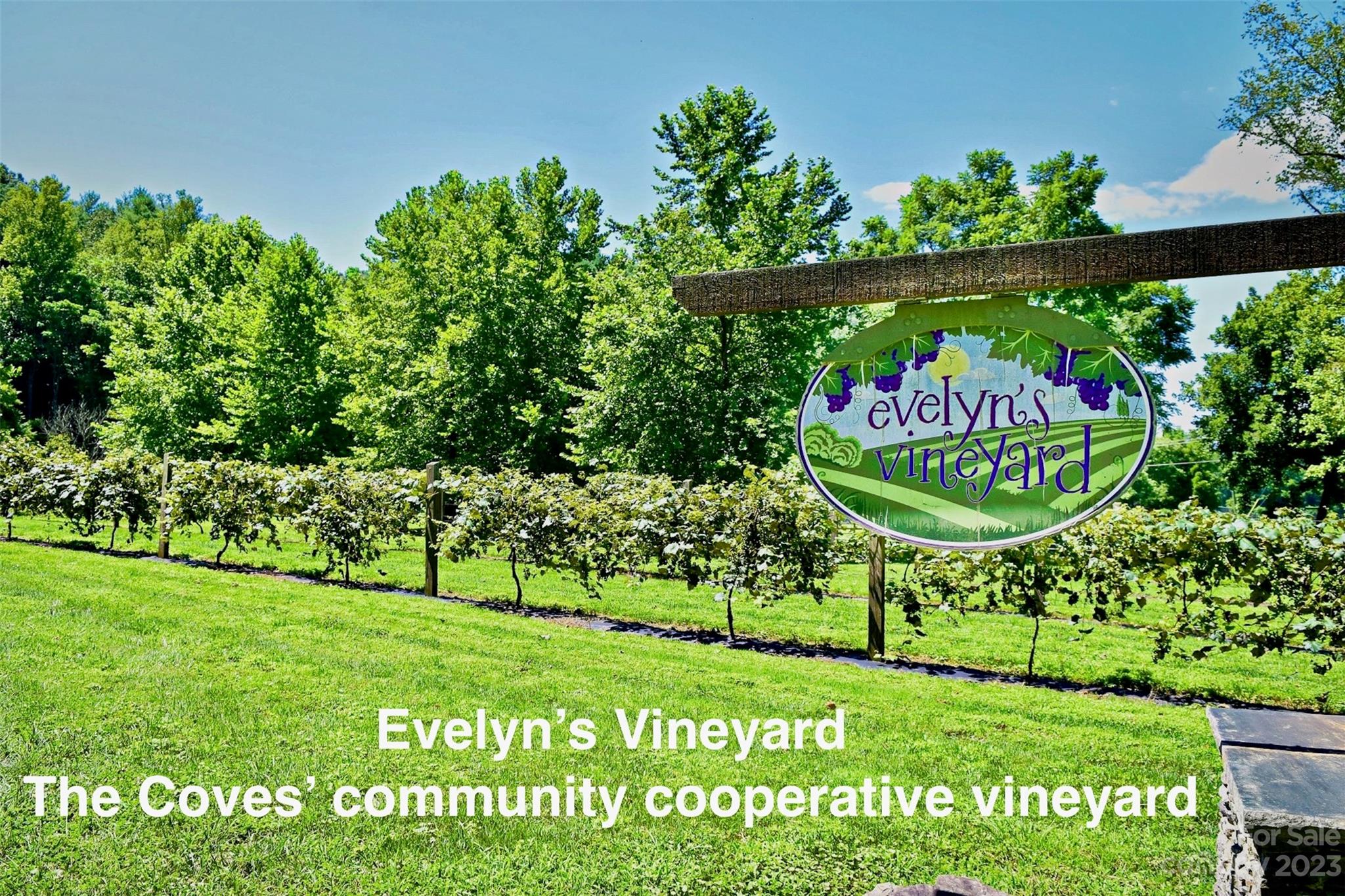 The Coves Mountain River Club - Land