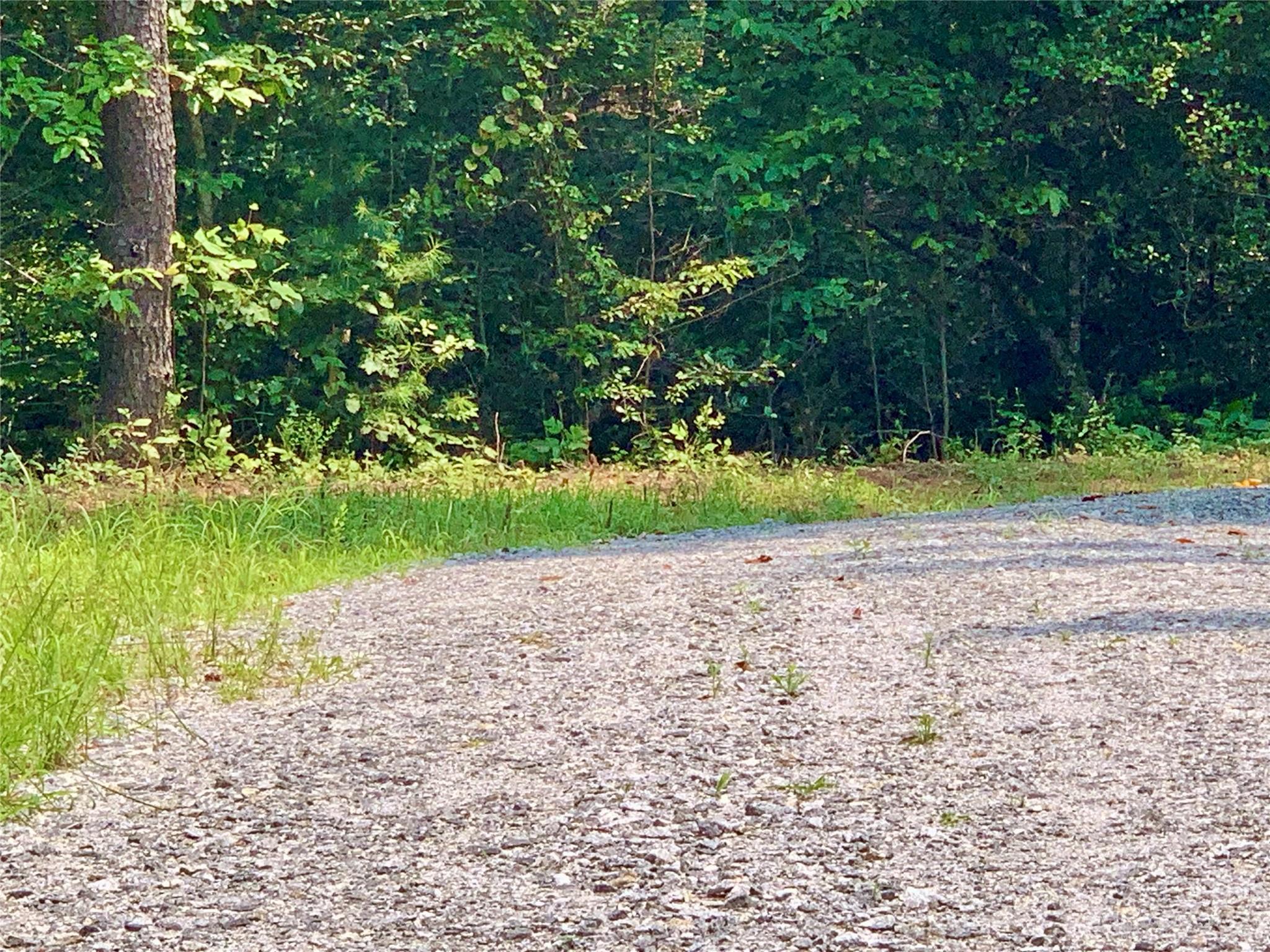 The Coves Mountain River Club - Land