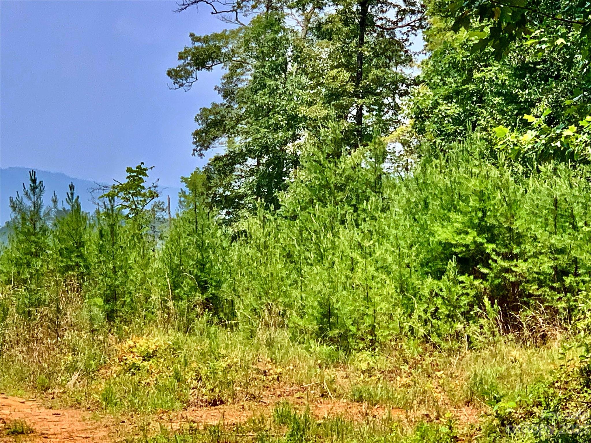 The Coves Mountain River Club - Land