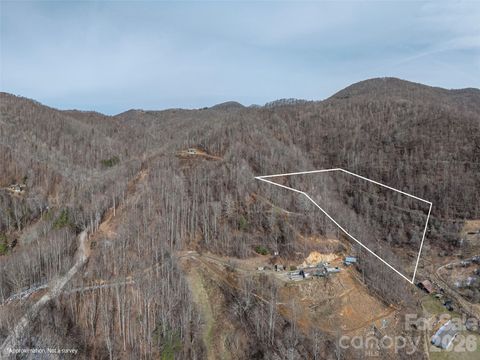 00 Morris Road Clyde NC 28721