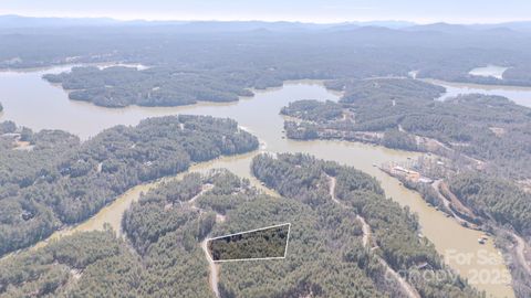 2494 Ivy Rays Way 41 Nebo NC 28761