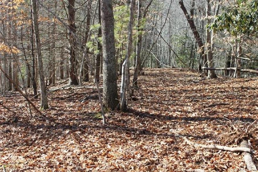 This 30 acre property is a very rare find with good timber, river frontage and mountain top. The mountain top has level land in the woods to build your home.   A state maintained paved road is at the bottom and top. With selective clearing the top could have outstanding views of surrounding mountains. The river provides fishing, canoeing and rafting. Don't miss the dream of a life time to have mountain top, privacy and river frontage. Close to Erwin, TN and 13 miles from Burnsville, NC.