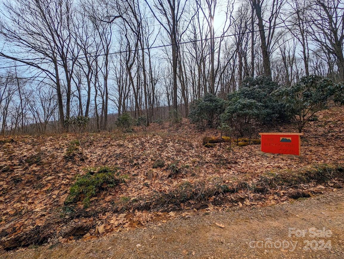 The Buncombe Cove - Land