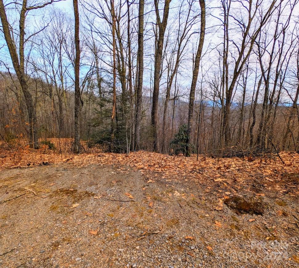 The Buncombe Cove - Land