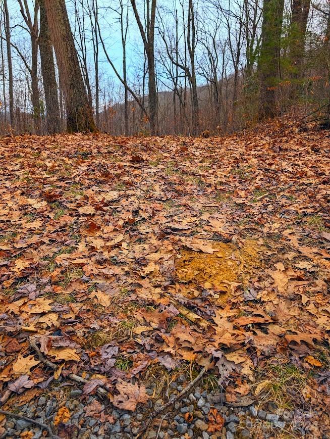 The Buncombe Cove - Land