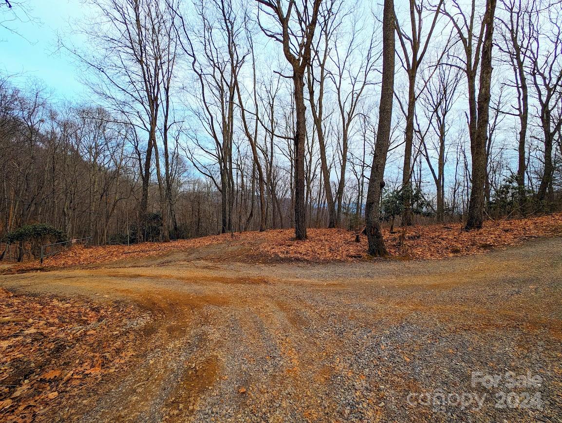 The Buncombe Cove - Land