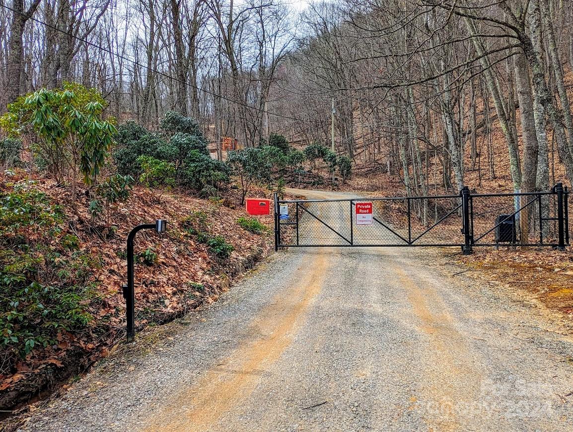 The Buncombe Cove - Land