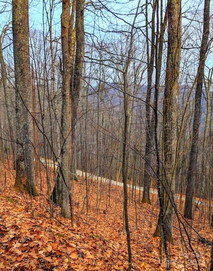 The Buncombe Cove - Land