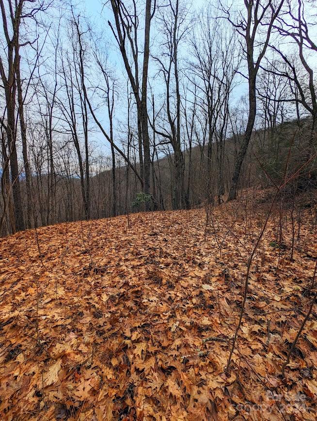 The Buncombe Cove - Land