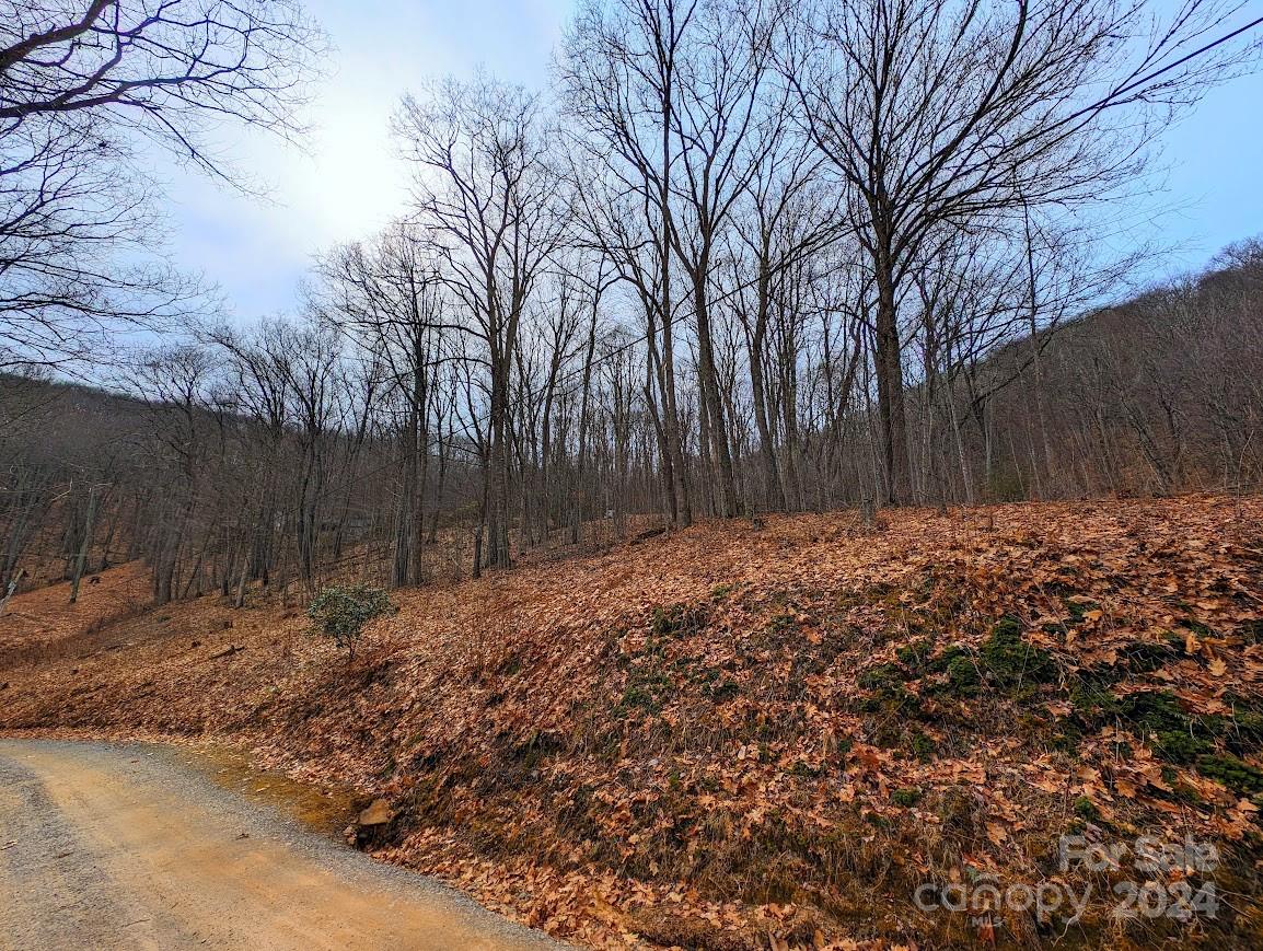 The Buncombe Cove - Land