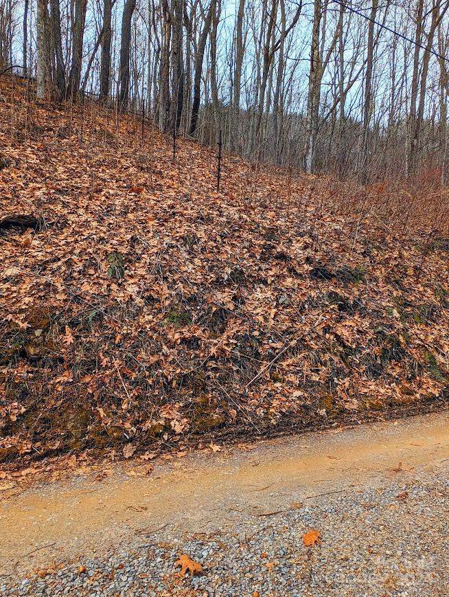 The Buncombe Cove - Land