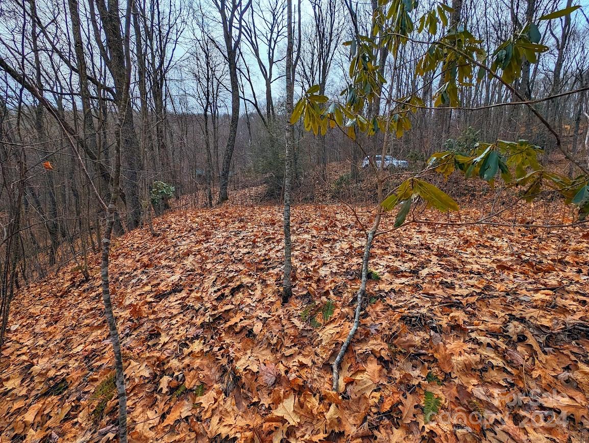 The Buncombe Cove - Land