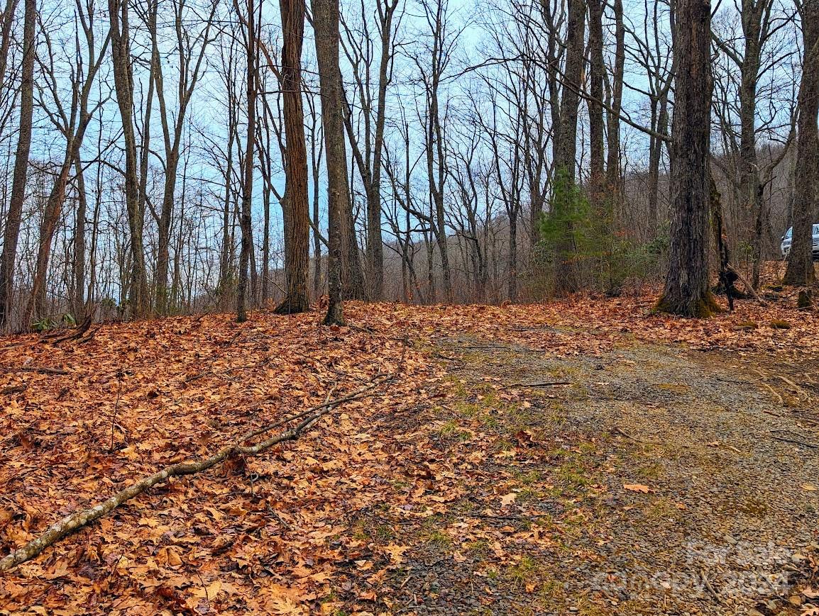 The Buncombe Cove - Land