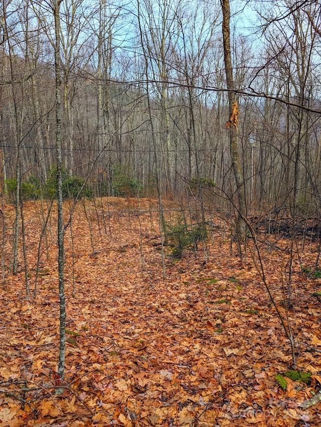 The Buncombe Cove - Land