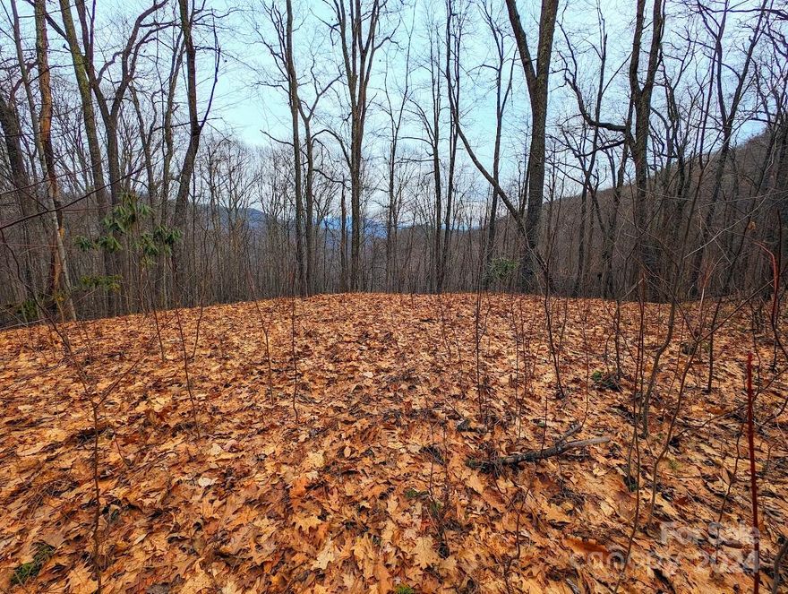 This gorgeous corner lot in The Buncombe Cove is ready for your dream cabin or second home. There is a roughed-in driveway and level house site area already in place. This lovely lot is located less than 1000 feet from the Smoky Mountain National Park, and the seller states that some of the park's hiking trails are accessible for property owners through this neighborhood. Very lightly restricted - minimum 800 sqft to build, no mobile homes, no junk cars...see attachments for full restrictions. Come see all that this lot has to offer!!