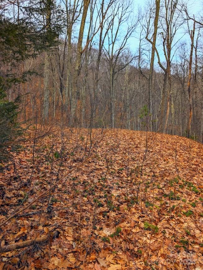 The Buncombe Cove - Land