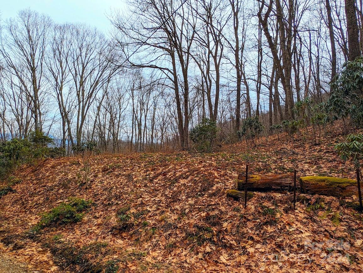 The Buncombe Cove - Land