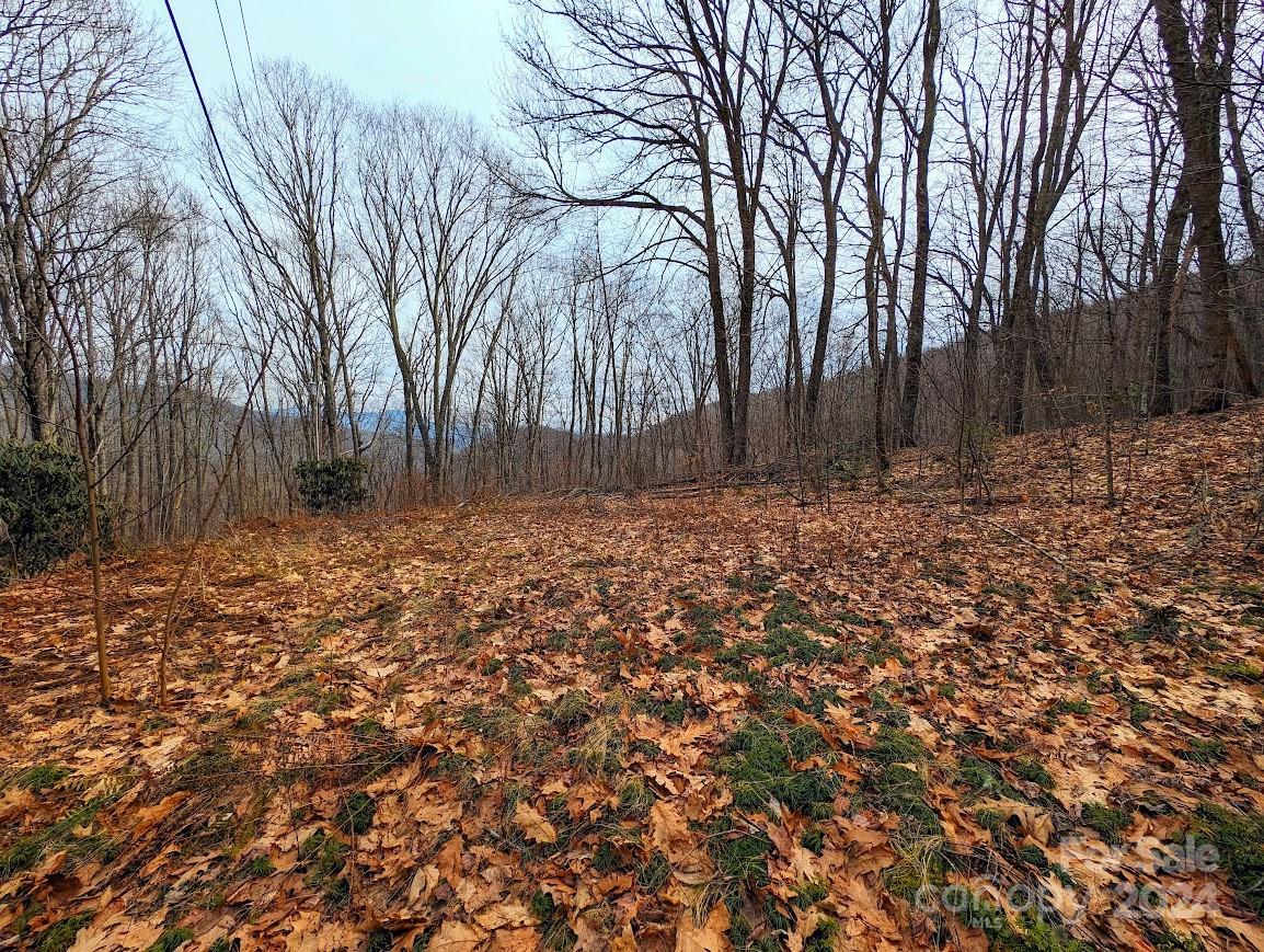 The Buncombe Cove - Land