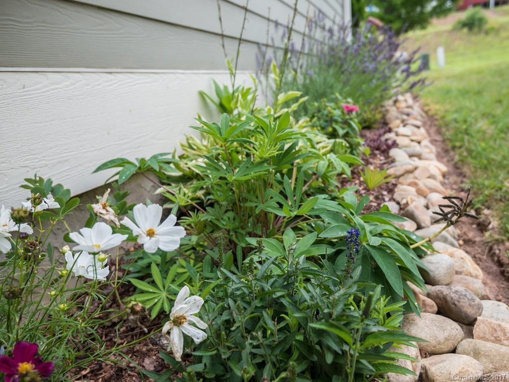 The Views at Rose Hill - Residential