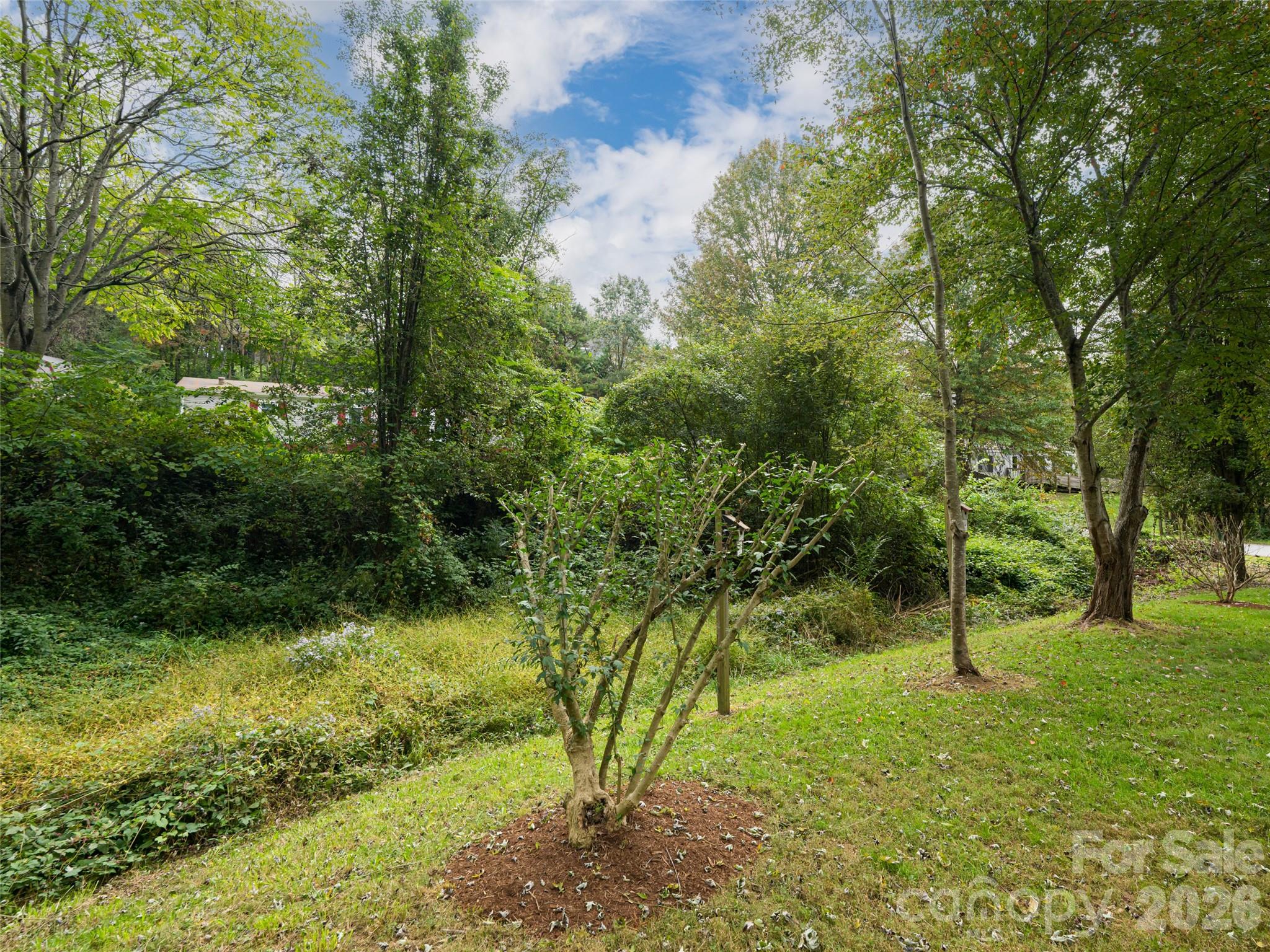 Briarcliff Crossing - Residential