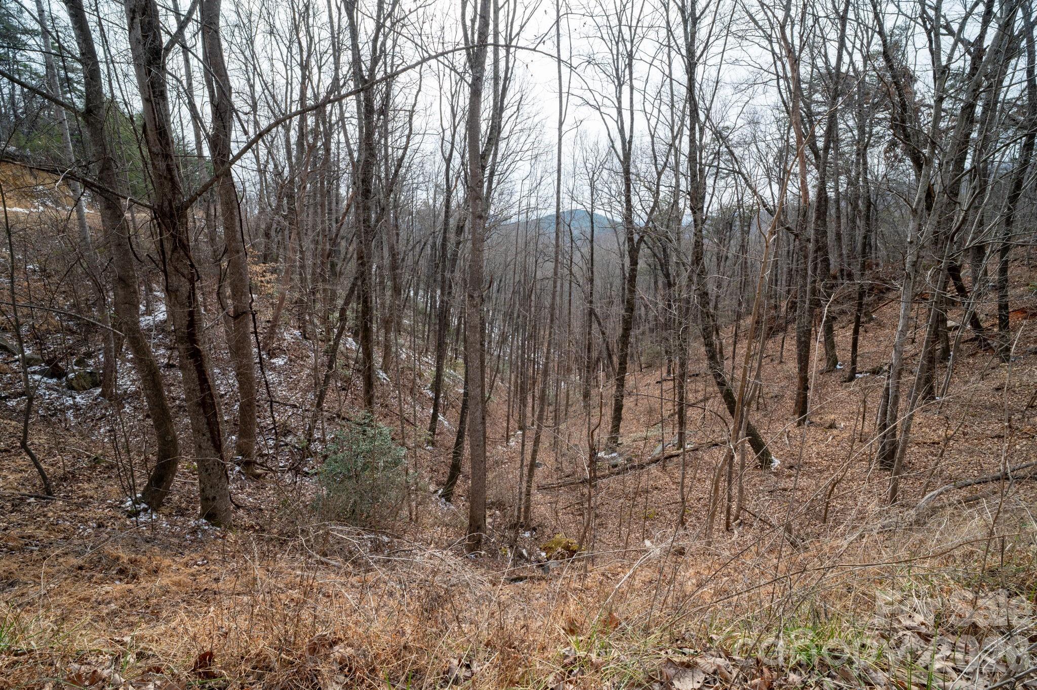 Pinnacle Ridge - Land