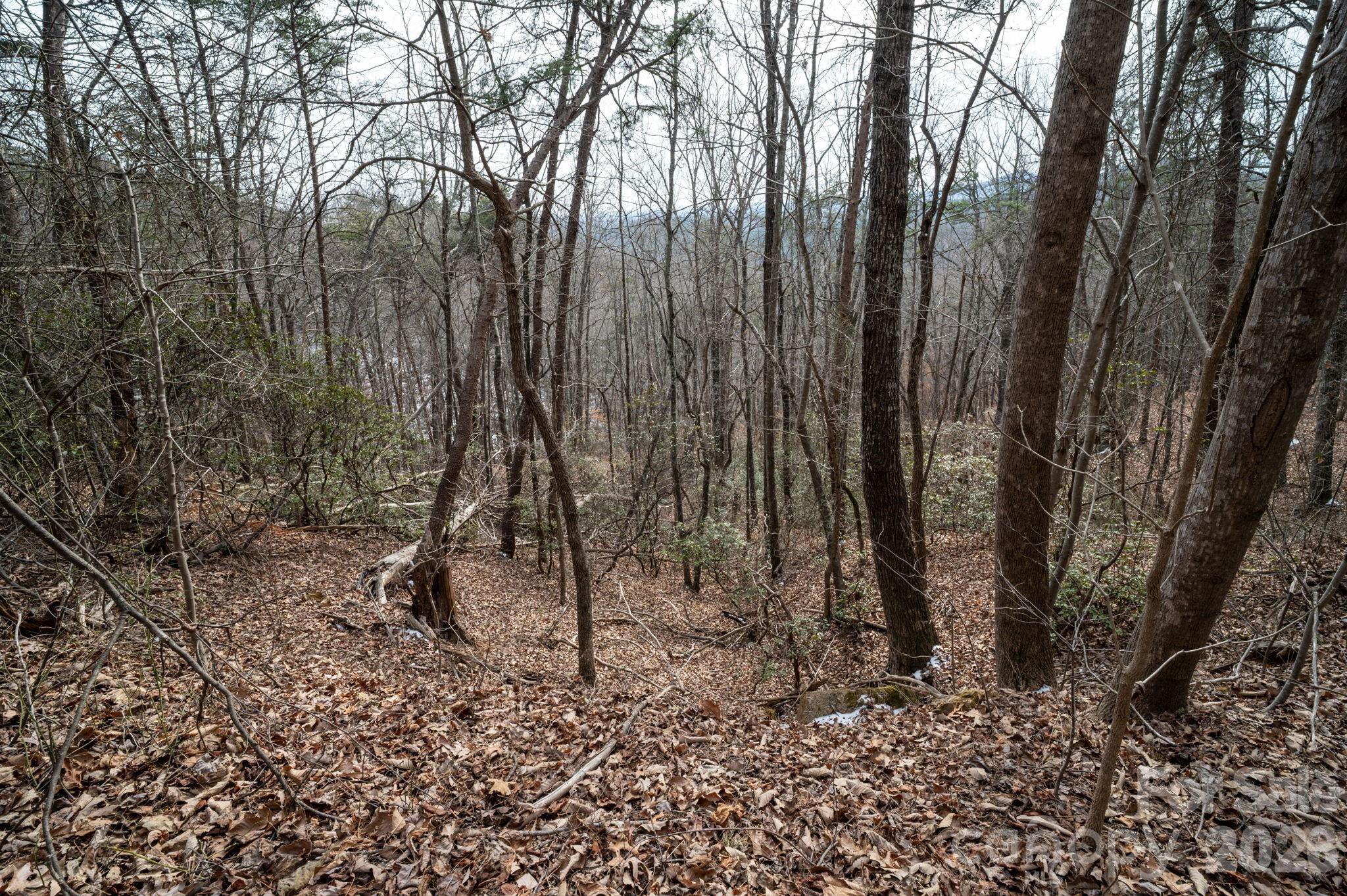 000 Pinnacle Parkway