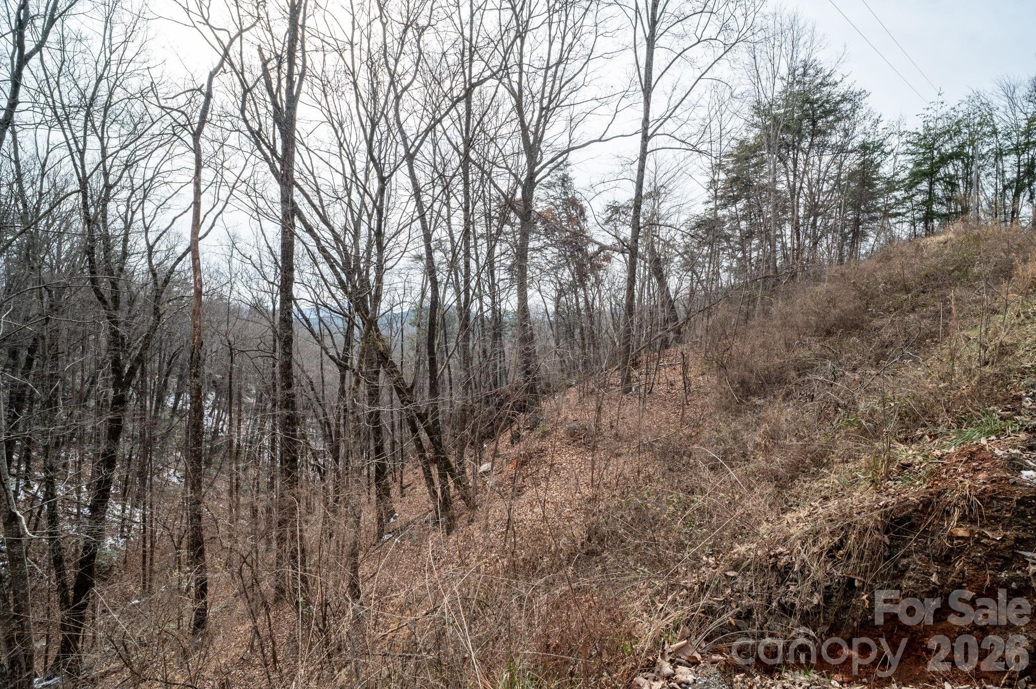 Pinnacle Ridge - Land