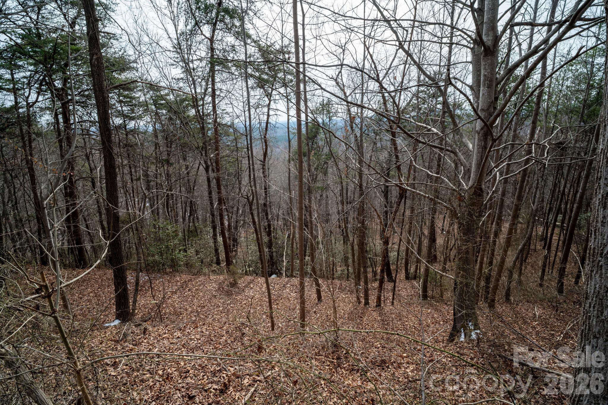 Pinnacle Ridge - Land