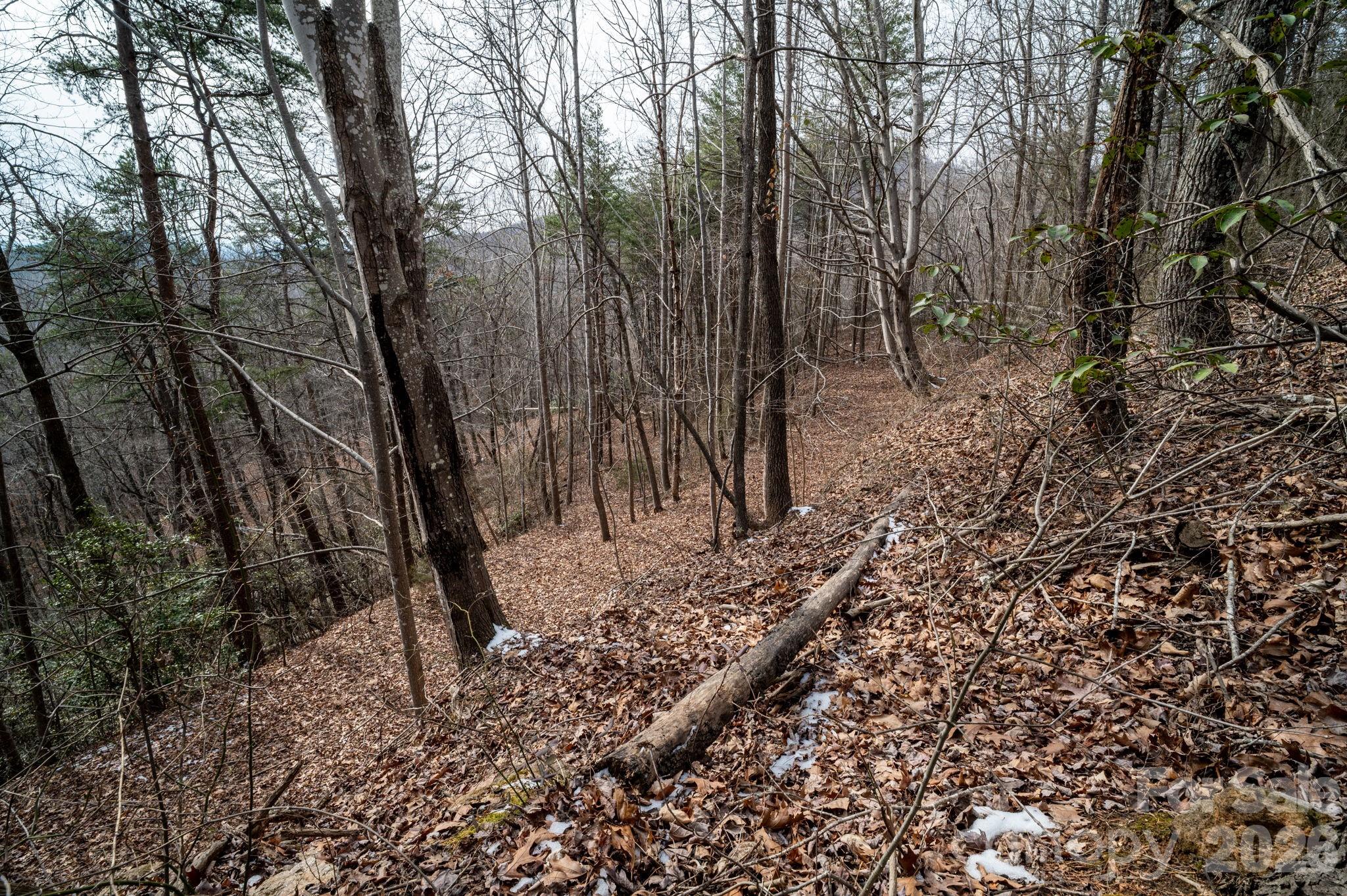 Pinnacle Ridge - Land