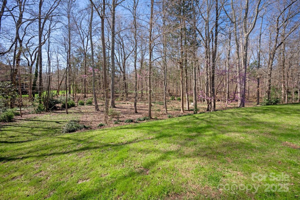 listing image 42