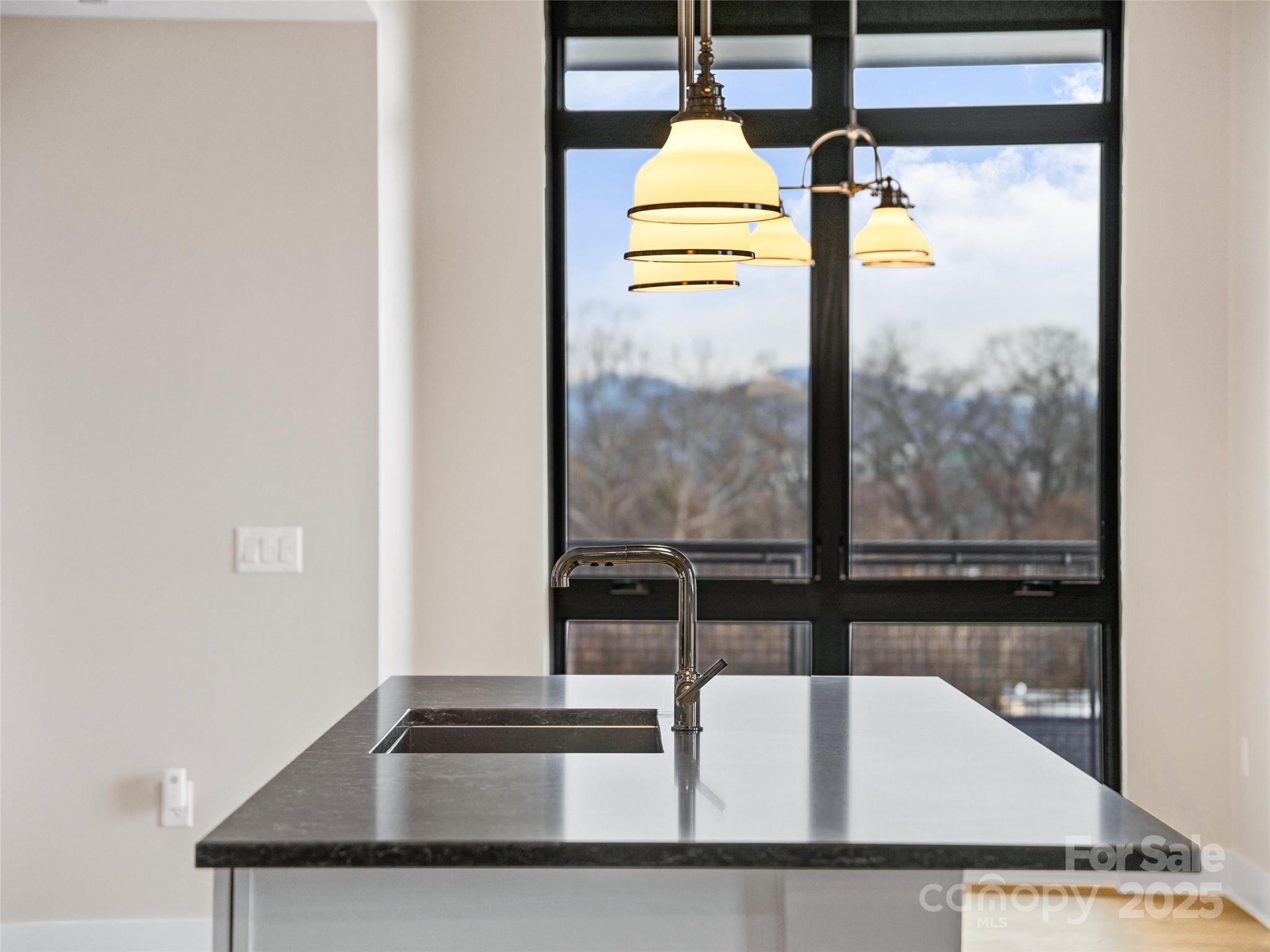 145 Biltmore Avenue Condominiums - Residential