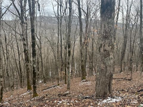 234 + 235 Hanging Rock Road Mars Hill NC 28754