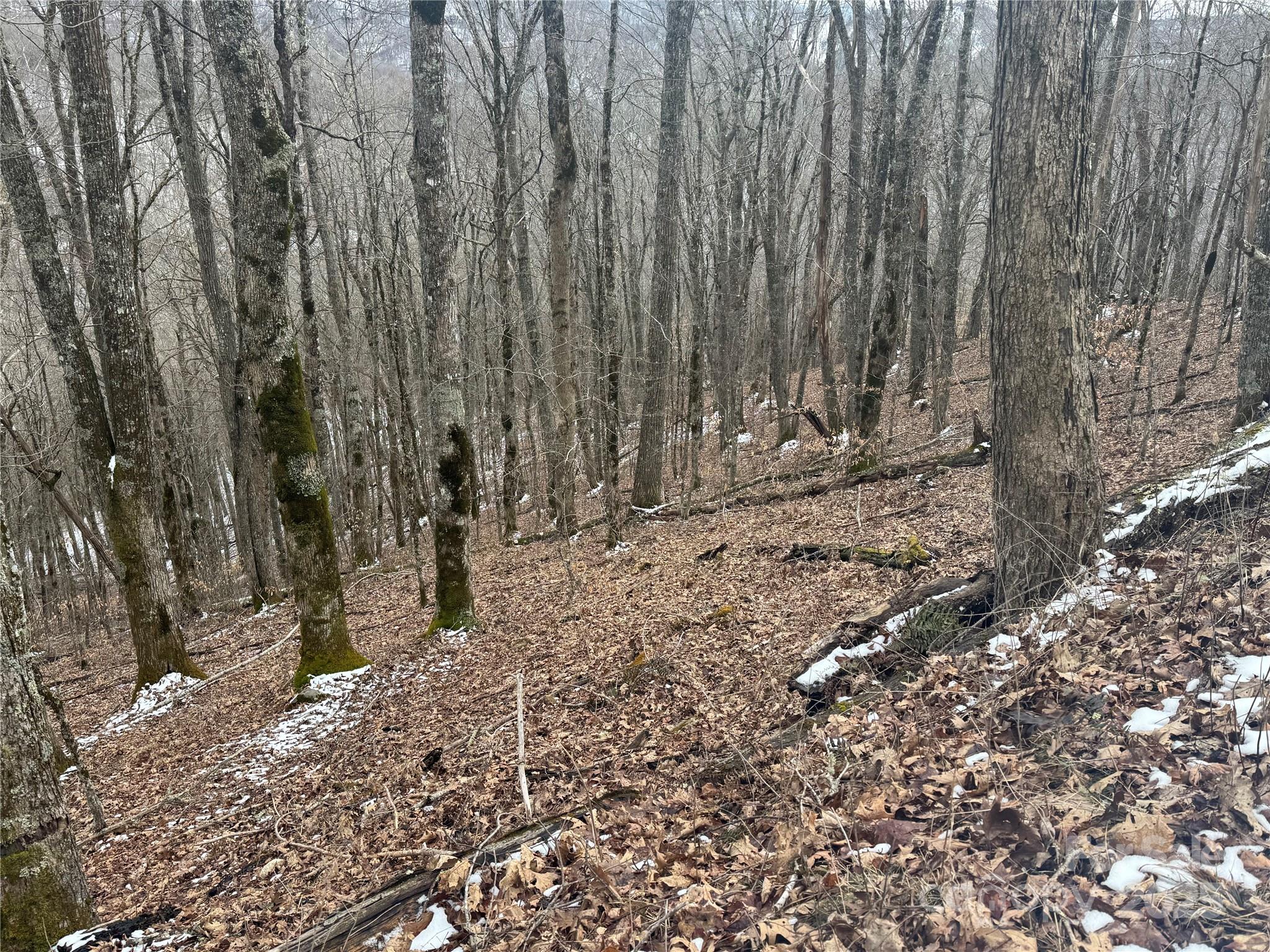 234 + 235 Hanging Rock Road