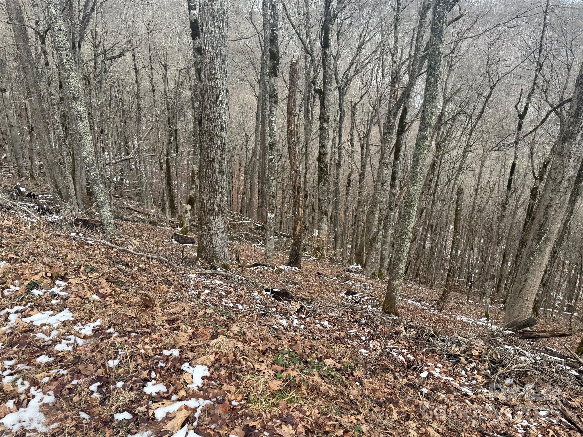 234 + 235 Hanging Rock Road