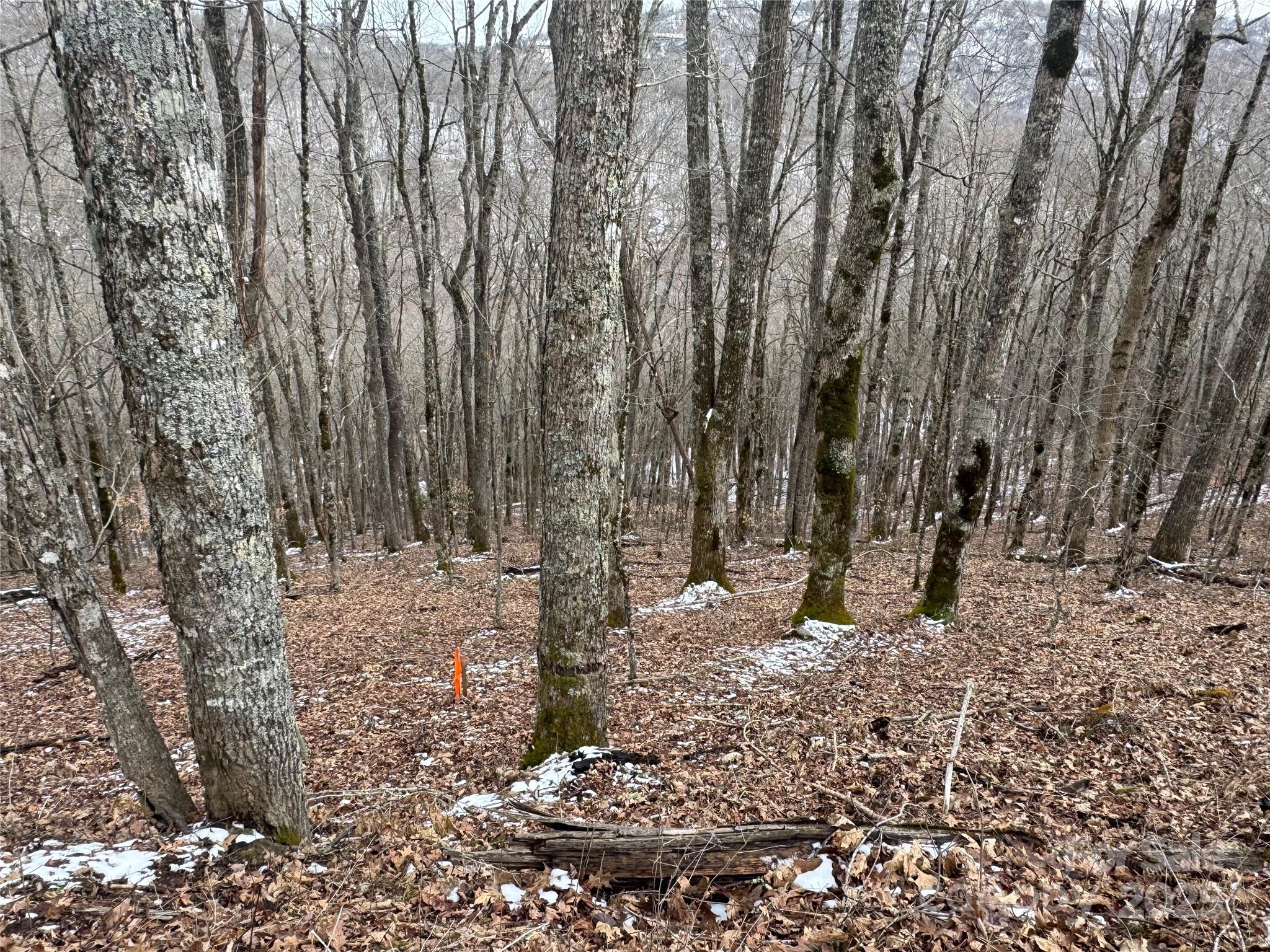 234 + 235 Hanging Rock Road