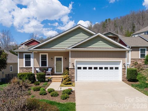 4 Nectar Way Swannanoa NC 28778