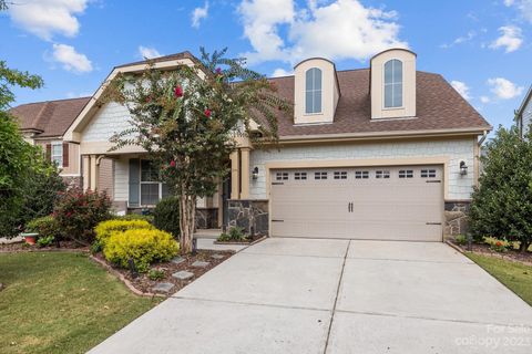 Photo of 17606 Austins Creek Drive, Charlotte, NC 28278 (MLS # 4069983)