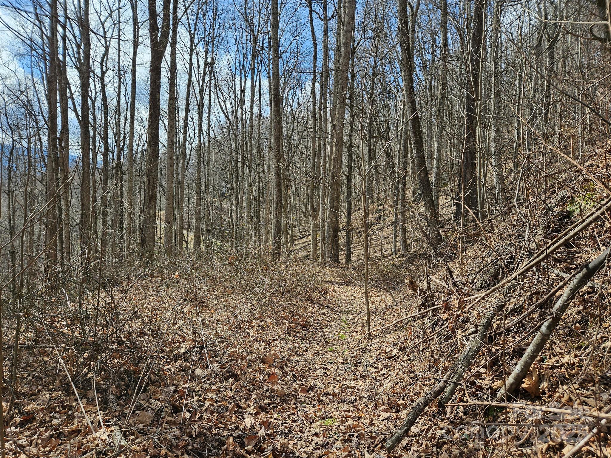 00 Wolverine Court 45