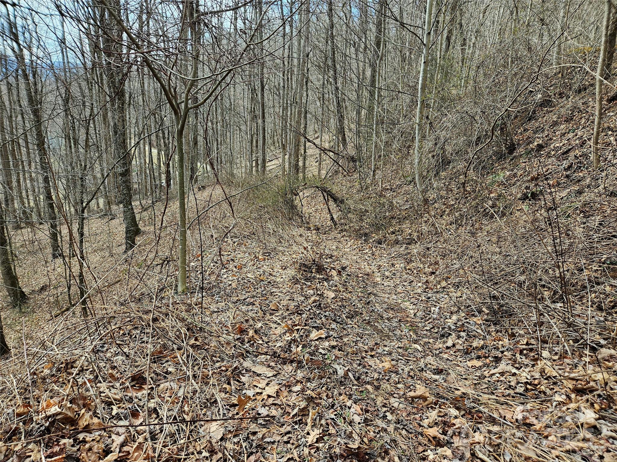 00 Wolverine Court 45