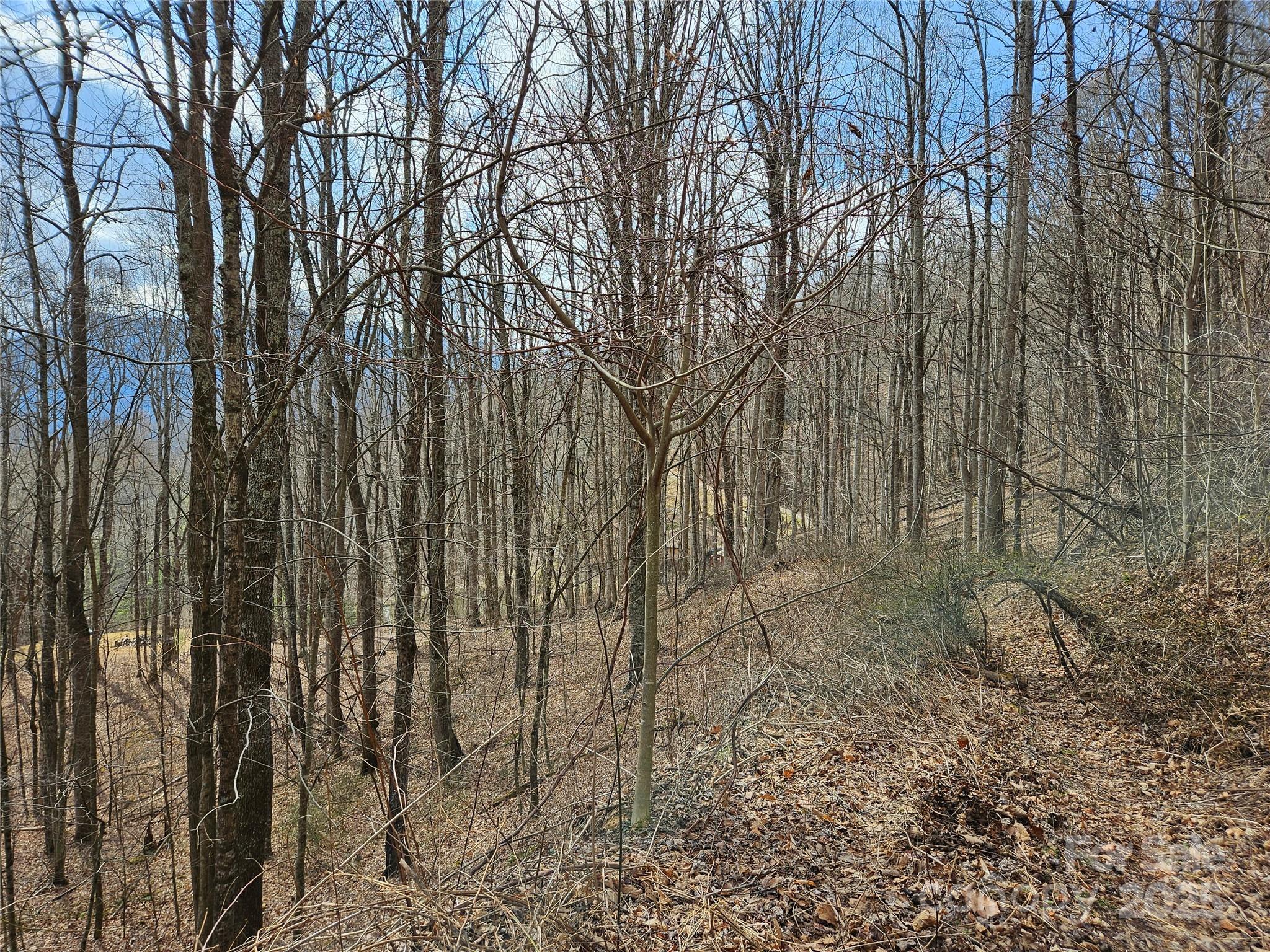 00 Wolverine Court 45