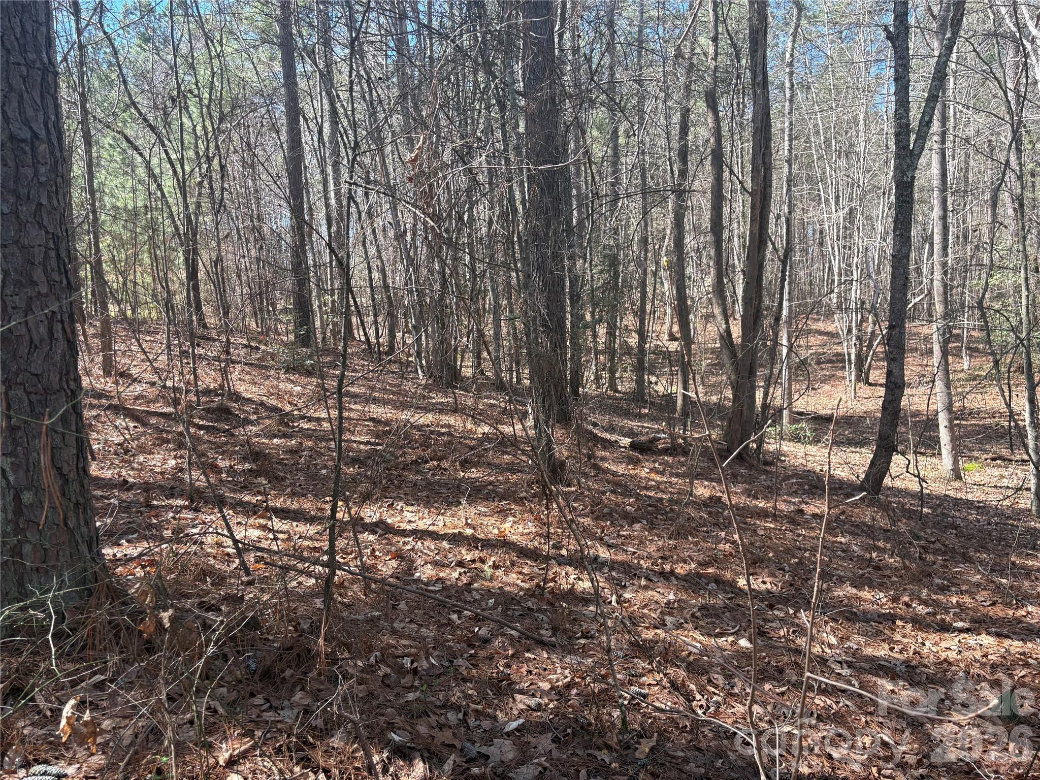 1403 Ron Whicker Drive