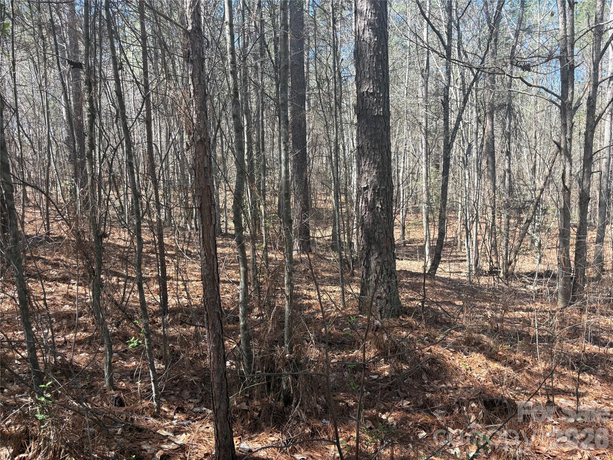 1403 Ron Whicker Drive