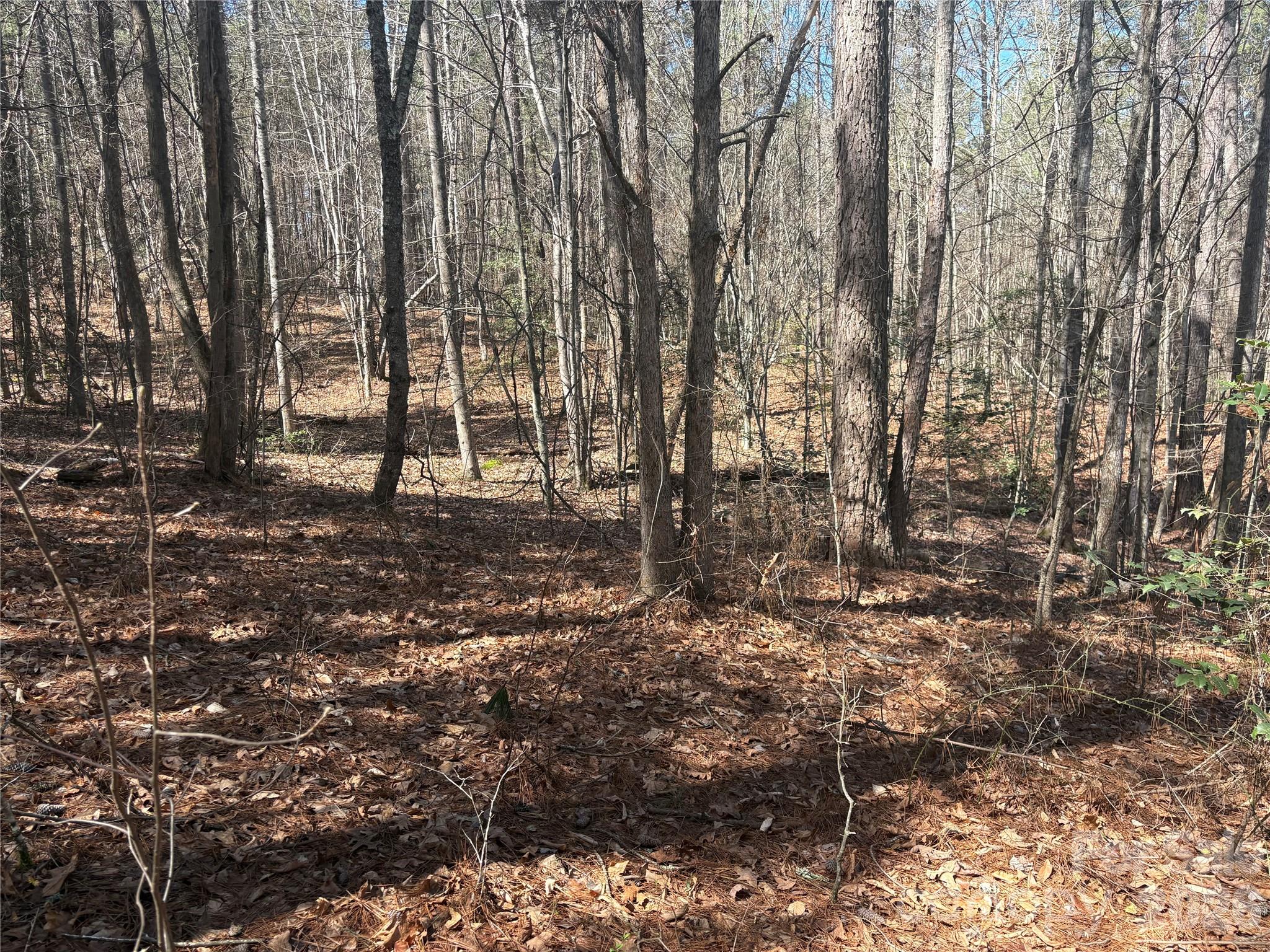 1403 Ron Whicker Drive