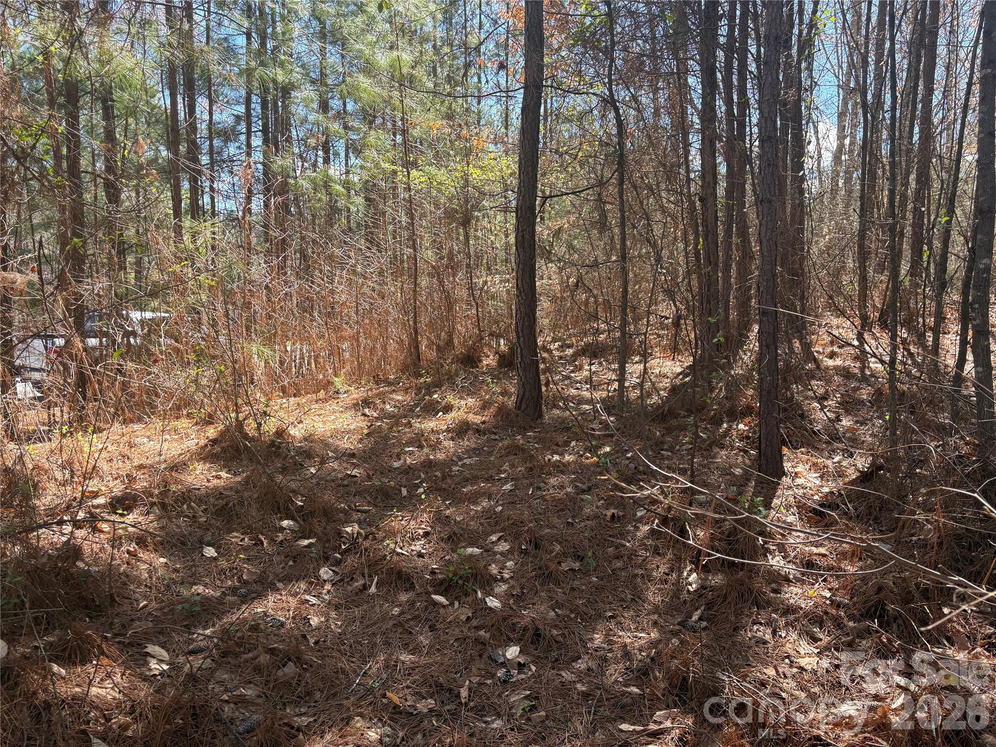 1403 Ron Whicker Drive