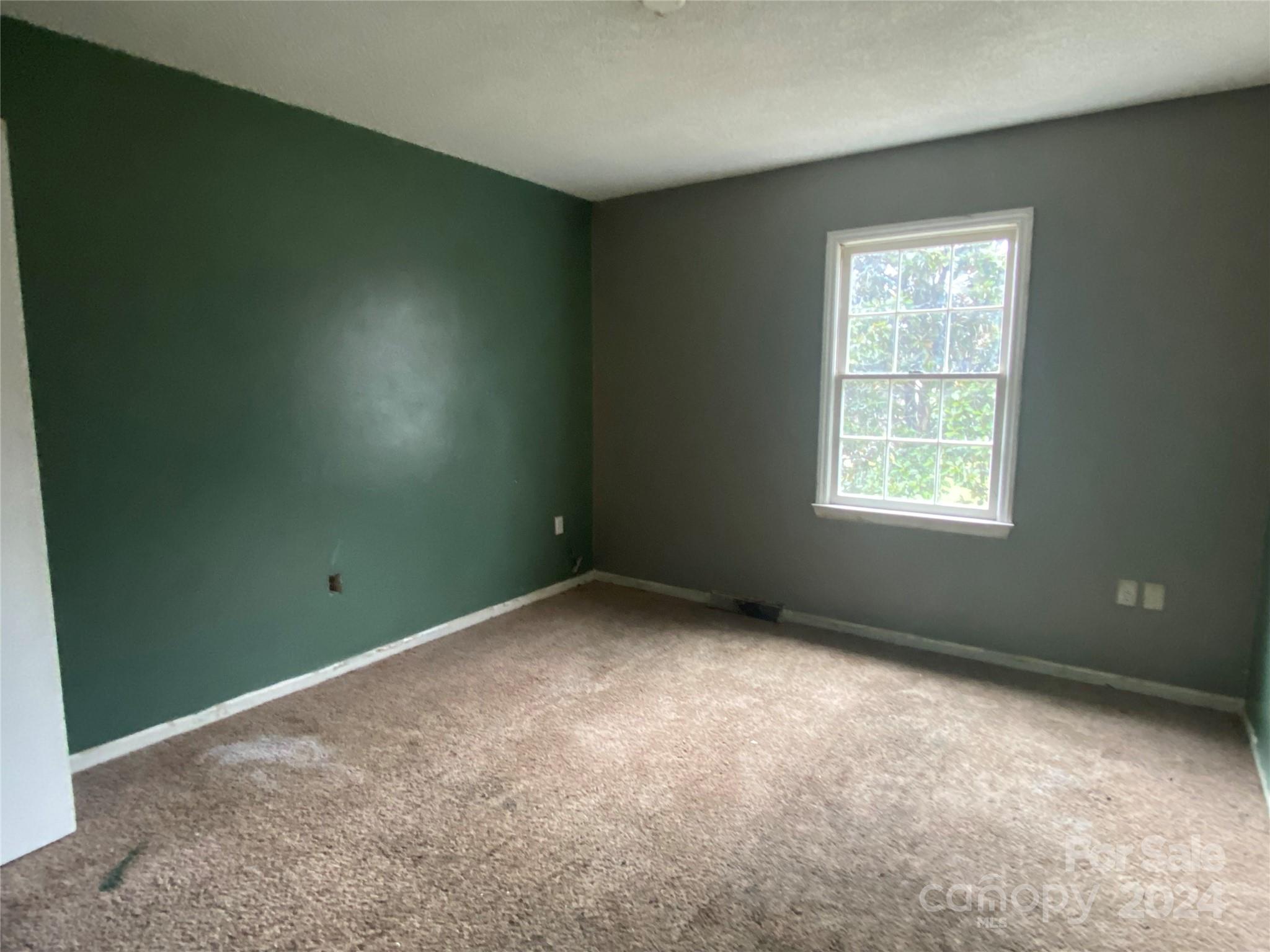 Chestnut Lake - Residential